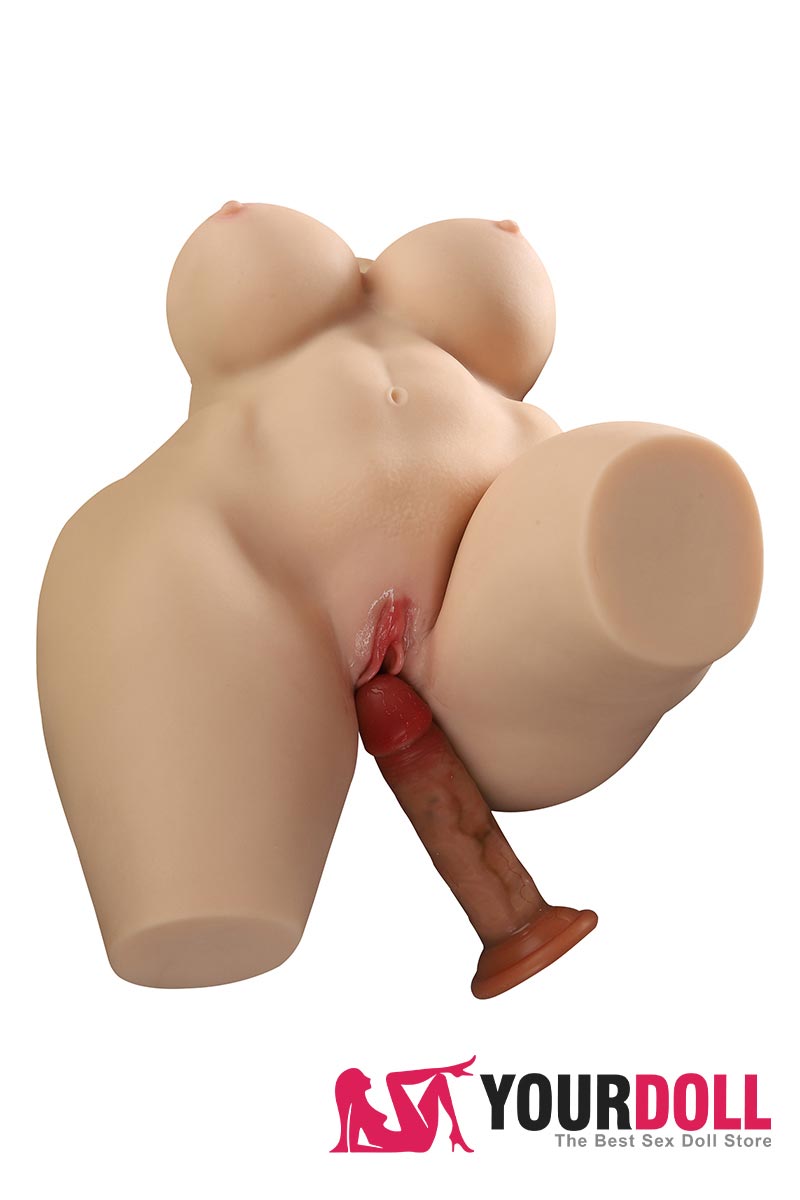 TORSO SEXUAL CURVY EDITION